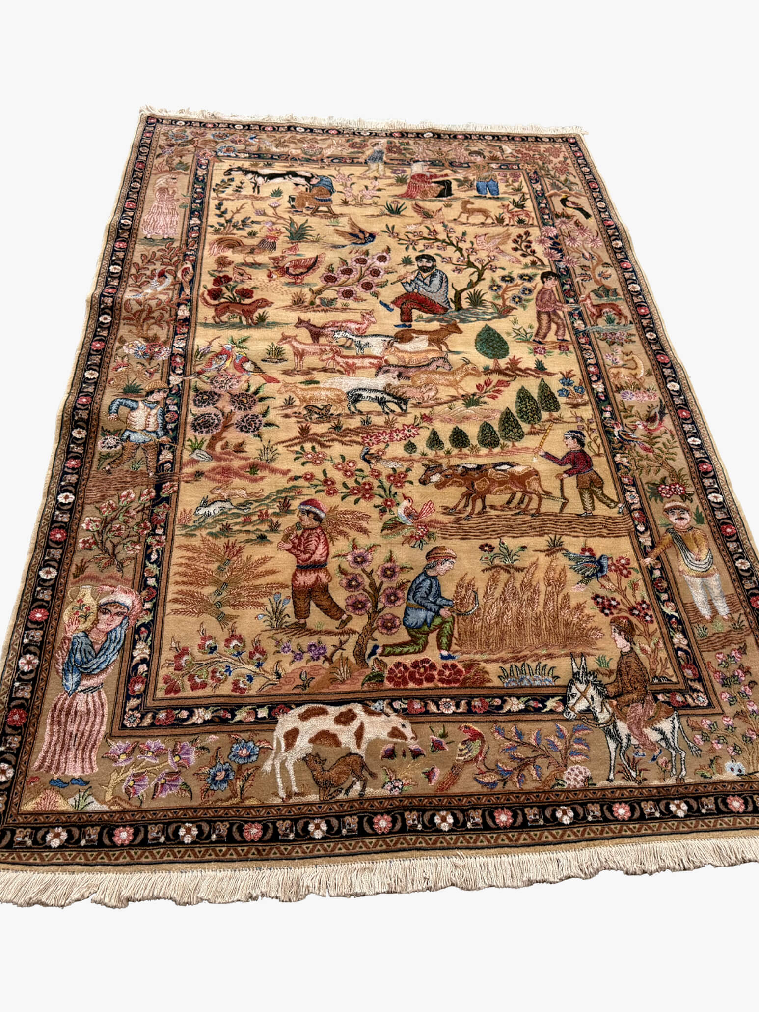 Tapete Isfahan 233x137cm