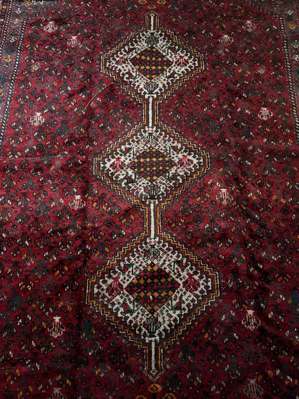 Tapete Persa Shiraz (Autenticidade Tribal do Sul do Irã) - 2,95 × 2,10 m