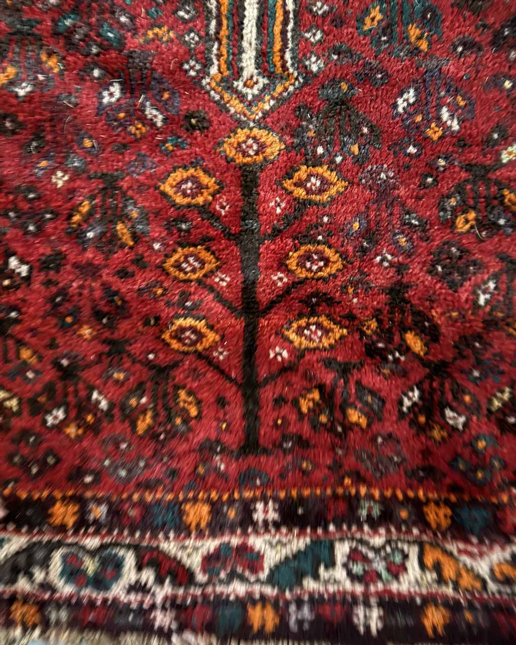 Tapete Persa Shiraz (Autenticidade Tribal do Sul do Irã) - 2,95 × 2,10 m