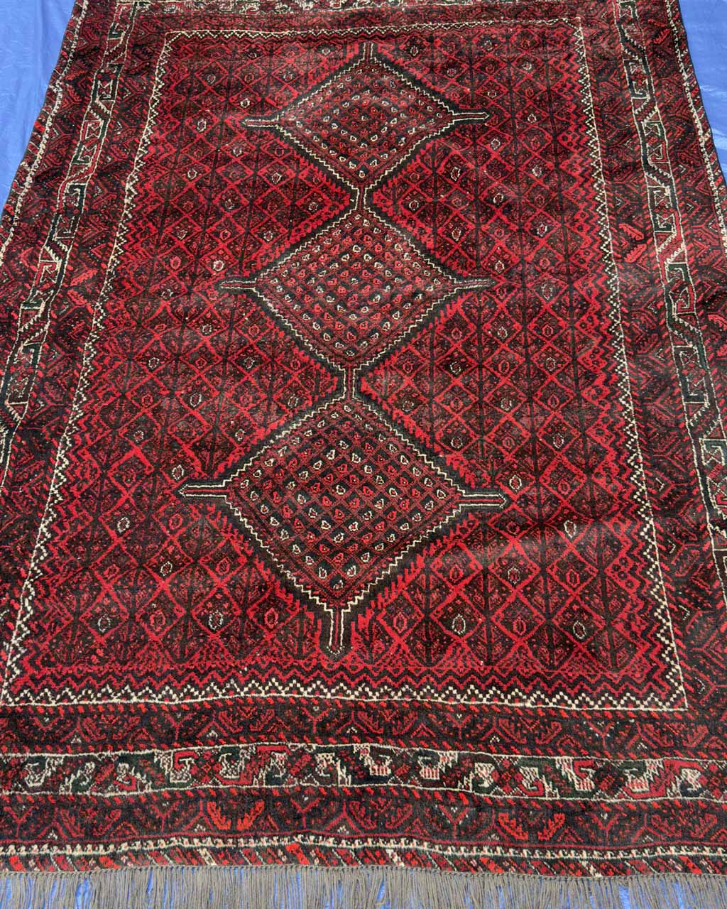 Tapete Persa Shiraz - 3,20 × 2,24 m