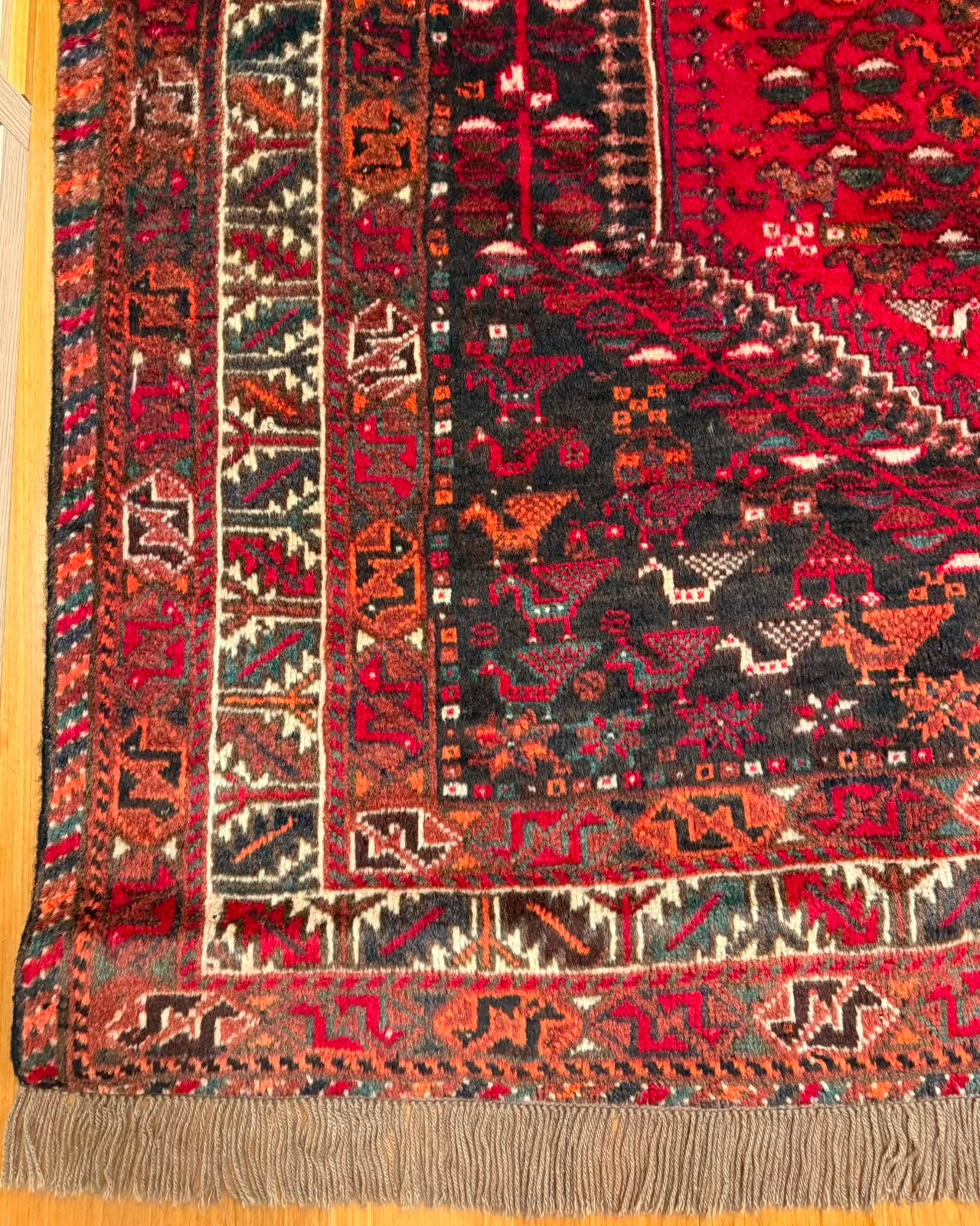 Tapete Persa Shiraz (Trama Tribal Autêntica) - 2,90 x 2,02 m